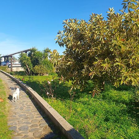 Villa Asinara à Sassari Extérieur photo
