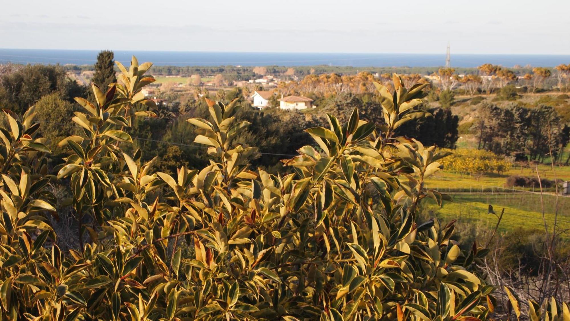 Villa Asinara à Sassari Extérieur photo